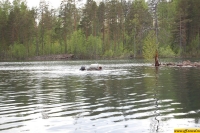 b083.jpg