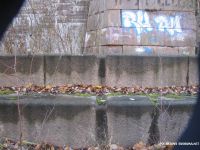 18600_1000.jpg