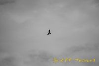 120612DSC_0604.jpg