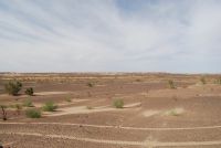 DSC_0347.jpg
