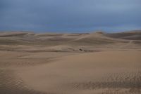 DSC_0374.jpg
