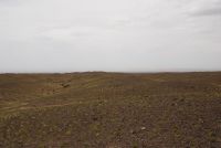 DSC_0395.jpg