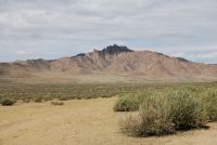 DSC_0455.jpg