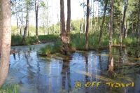 shDSC_0099.jpg