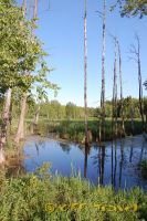 shDSC_0128.jpg