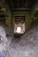 DSC_0095.jpg