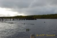 DSC_0135.jpg