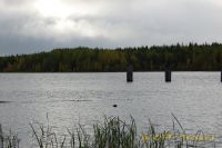 DSC_0141.jpg