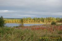 DSC_0142.jpg