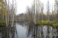 DSC_0151.jpg
