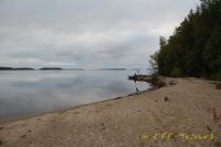 DSC_0175.jpg