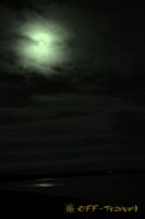 DSC_0181.jpg