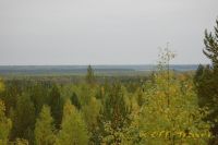 Имя файла=DSC_0221.jpg
Размер файла=151КБ
Размеры=1024x681
Дата=Сент 22, 2008 DSC_0221.jpg