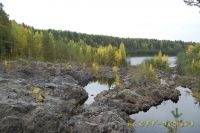 DSC_0313.jpg