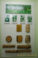 Имя файла=DSC_0351.jpg
Размер файла=117КБ
Размеры=681x1024
Дата=Сент 22, 2008 DSC_0351.jpg