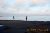musaDSC_0767.jpg
