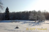 DSC_0959.JPG