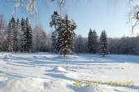DSC_0960.JPG