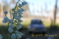 DSC_0100.jpg
