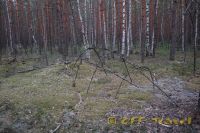 DSC_0116.jpg