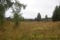 Имя файла=DSC_0106.jpg
Размер файла=136КБ
Размеры=800x532
Дата=Авг 26, 2009 DSC_0106.jpg