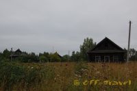DSC_0423.jpg