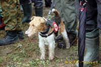 t2572011DSC_0340_sm.jpg