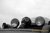 t2572011DSC_0357_sm.jpg