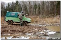 effffDSC_0066forest.jpg