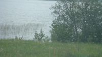 DSC00694.JPG