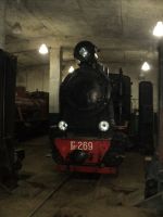 DSC01985.JPG