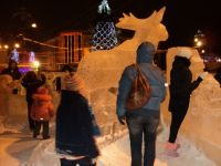 DSC02020.JPG