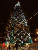 DSC02023.JPG