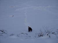 DSC02060.JPG