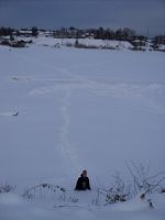 DSC02061.JPG