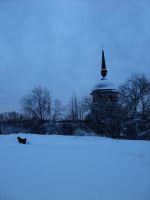 DSC02076.JPG