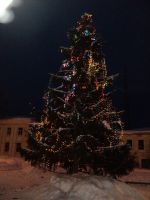 DSC02088.JPG