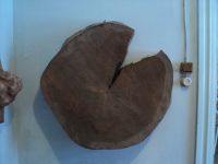 DSC02217.JPG