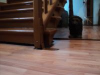 DSC02219.JPG