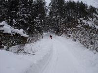 DSC02272.JPG