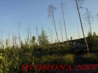 DSC03775.JPG