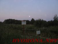 DSC03784.JPG