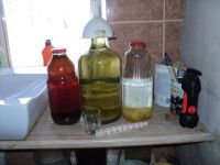 DSC07204.JPG