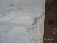 DSCN0278.jpg