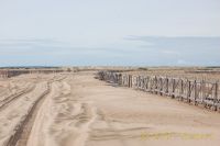 DSC_0420_1.jpg