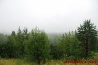 DSC_7542.JPG