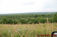DSC_7878.JPG