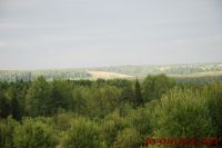 DSC_7890.JPG