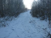 IMG_2128.jpg
