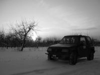 IMG_2387.jpg